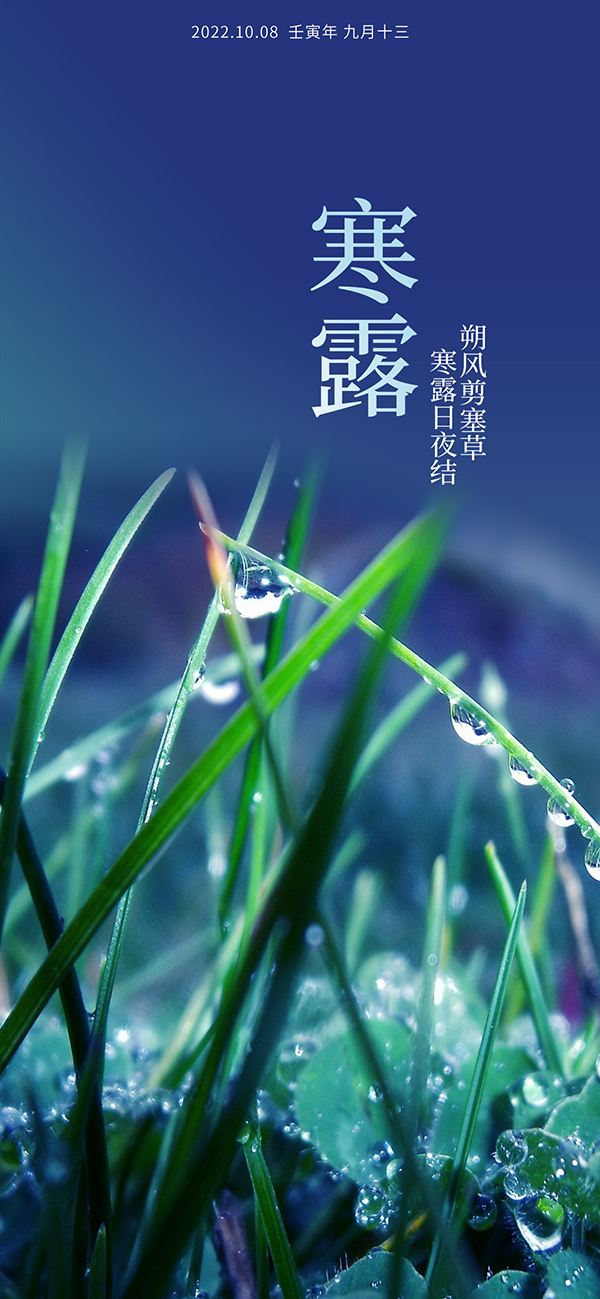 寒露移动端海报PSD素材
